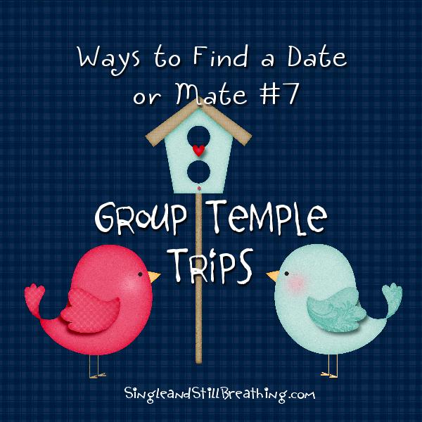 SOCIAL: Find a Date or Mate #7 Group Temple Trips, SingleandStillBreathing.com